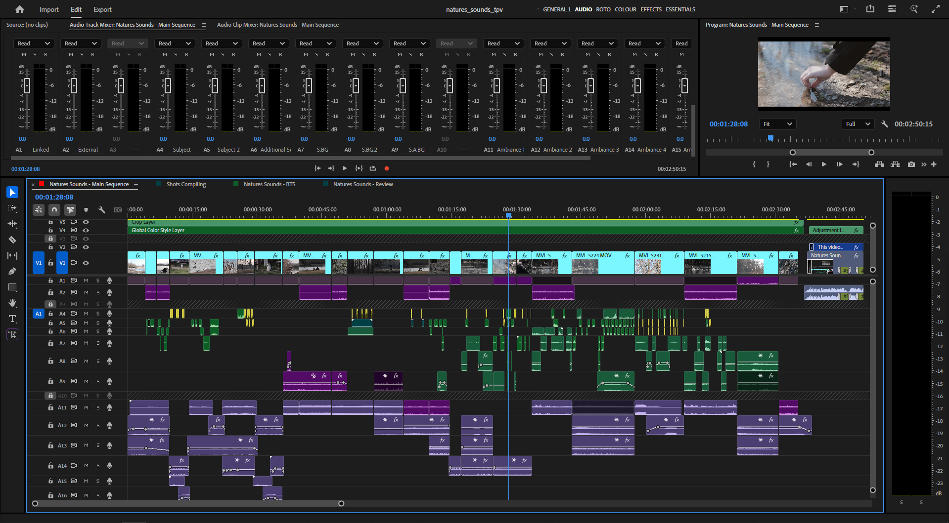Editing timeline for Sound Design Project